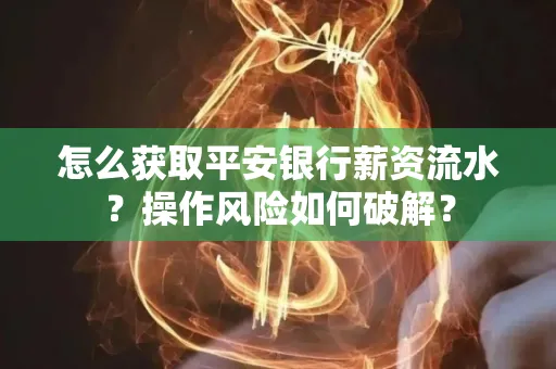 怎么获取平安银行薪资流水？操作风险如何破解？