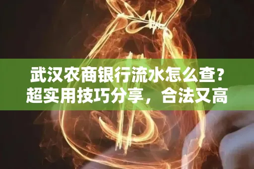 武汉农商银行流水怎么查？超实用技巧分享，合法又高效！