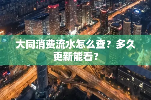 大同消费流水怎么查？多久更新能看？